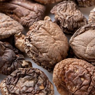 Estratto di shiitake